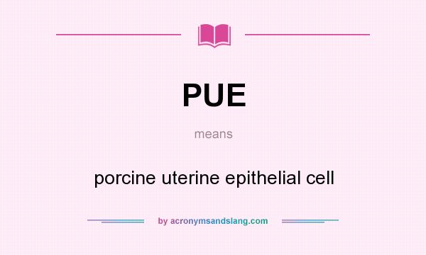 What does PUE mean? It stands for porcine uterine epithelial cell