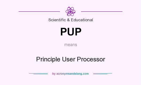 What does PUP mean? It stands for Principle User Processor