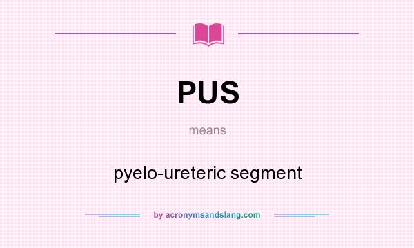 What does PUS mean? It stands for pyelo-ureteric segment