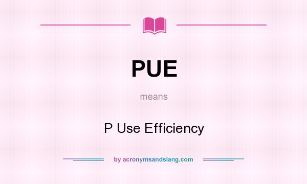 What does PUE mean? It stands for P Use Efficiency