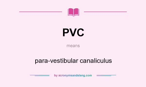 What does PVC mean? It stands for para-vestibular canaliculus