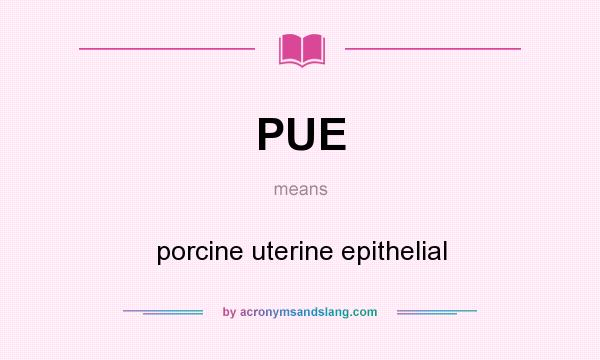 What does PUE mean? It stands for porcine uterine epithelial