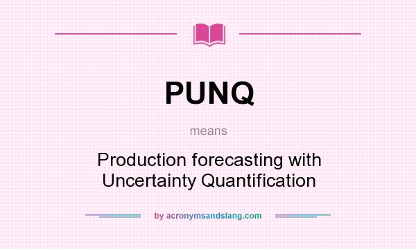 What does PUNQ mean? It stands for Production forecasting with Uncertainty Quantification