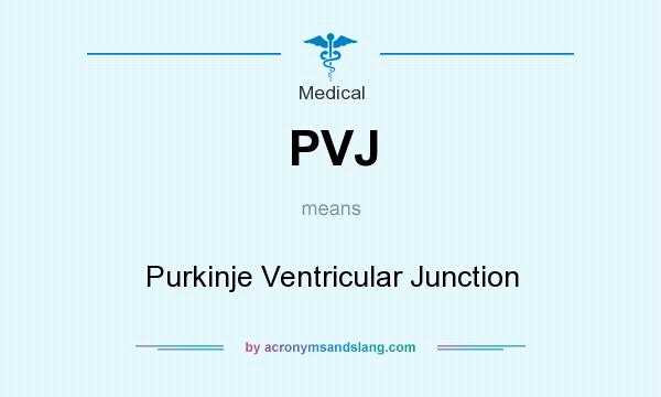 What does PVJ mean? It stands for Purkinje Ventricular Junction