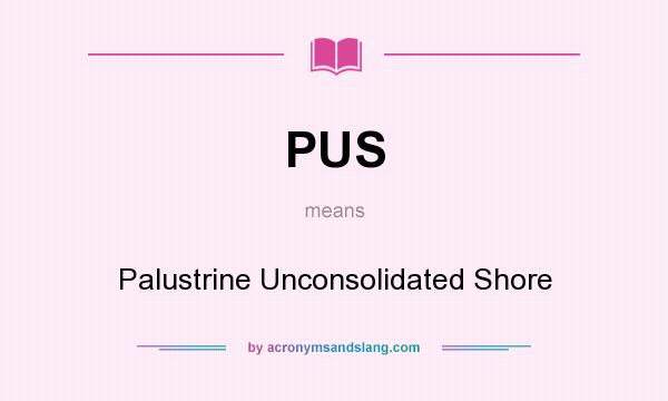 What does PUS mean? It stands for Palustrine Unconsolidated Shore