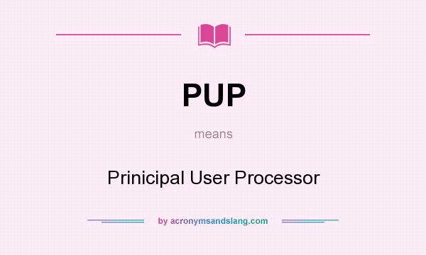 What does PUP mean? It stands for Prinicipal User Processor