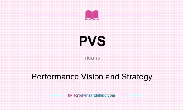 What does PVS mean? It stands for Performance Vision and Strategy