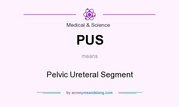 What does PUS mean? It stands for Pelvic Ureteral Segment