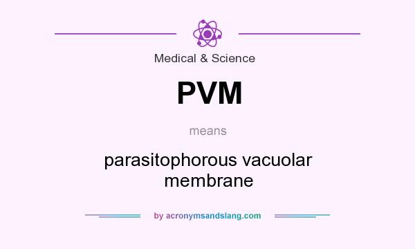 What does PVM mean? It stands for parasitophorous vacuolar membrane