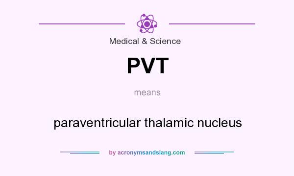 What does PVT mean? It stands for paraventricular thalamic nucleus