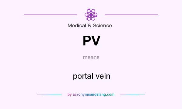 What does PV mean? It stands for portal vein