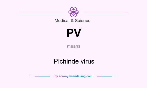 What does PV mean? It stands for Pichinde virus