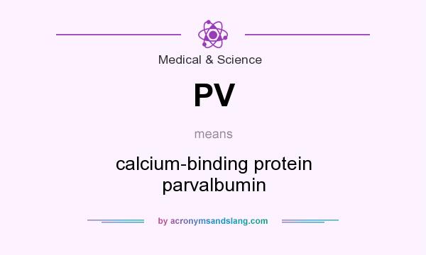 What does PV mean? It stands for calcium-binding protein parvalbumin
