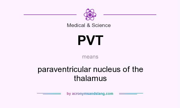What does PVT mean? It stands for paraventricular nucleus of the thalamus