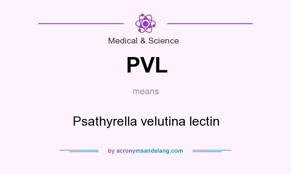 What does PVL mean? It stands for Psathyrella velutina lectin