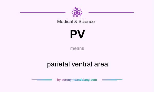 What does PV mean? It stands for parietal ventral area