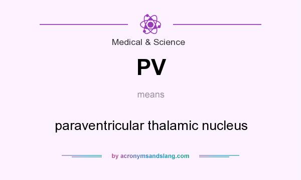 What does PV mean? It stands for paraventricular thalamic nucleus