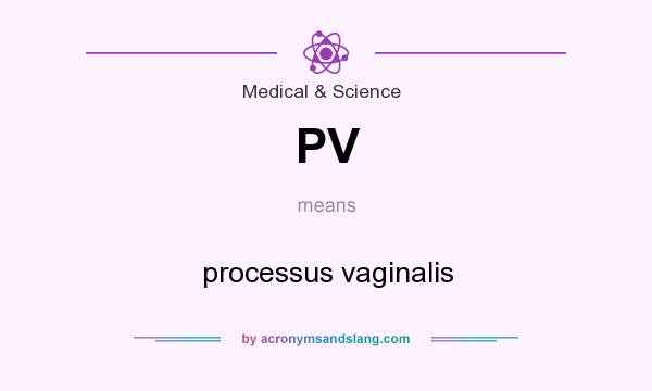 What does PV mean? It stands for processus vaginalis