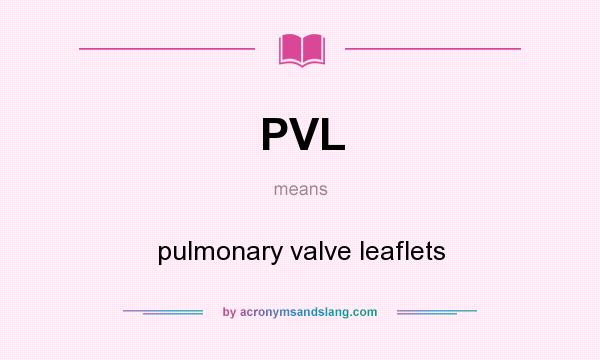What does PVL mean? It stands for pulmonary valve leaflets