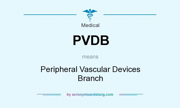 What does PVDB mean? It stands for Peripheral Vascular Devices Branch