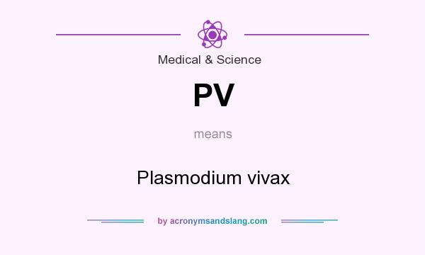 What does PV mean? It stands for Plasmodium vivax