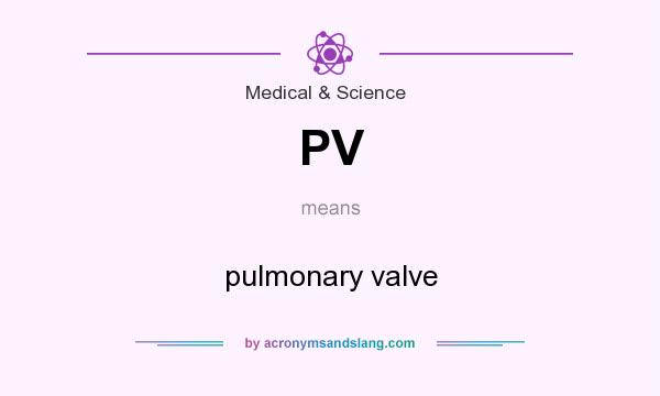 What does PV mean? It stands for pulmonary valve