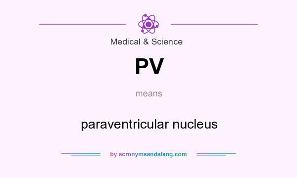 What does PV mean? It stands for paraventricular nucleus