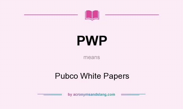 What does PWP mean? It stands for Pubco White Papers