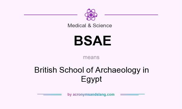 What does BSAE mean? It stands for British School of Archaeology in Egypt