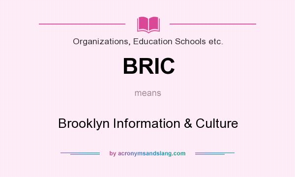 What does BRIC mean? It stands for Brooklyn Information & Culture