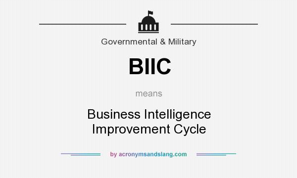 What does BIIC mean? It stands for Business Intelligence Improvement Cycle