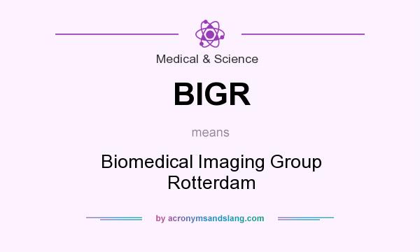 What does BIGR mean? It stands for Biomedical Imaging Group Rotterdam