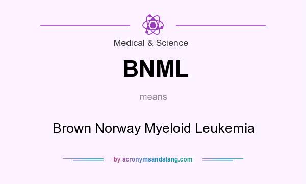 What does BNML mean? It stands for Brown Norway Myeloid Leukemia