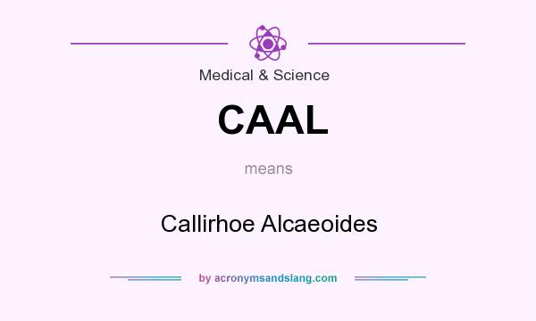 What does CAAL mean? It stands for Callirhoe Alcaeoides
