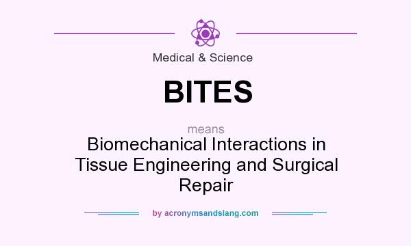 What does BITES mean? It stands for Biomechanical Interactions in Tissue Engineering and Surgical Repair