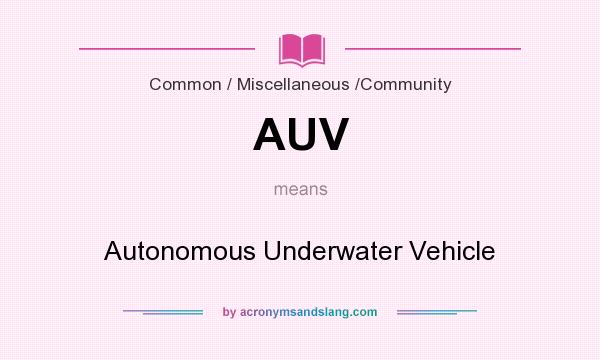 What does AUV mean? It stands for Autonomous Underwater Vehicle
