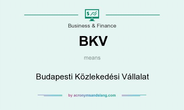 What does BKV mean? It stands for Budapesti Közlekedési Vállalat