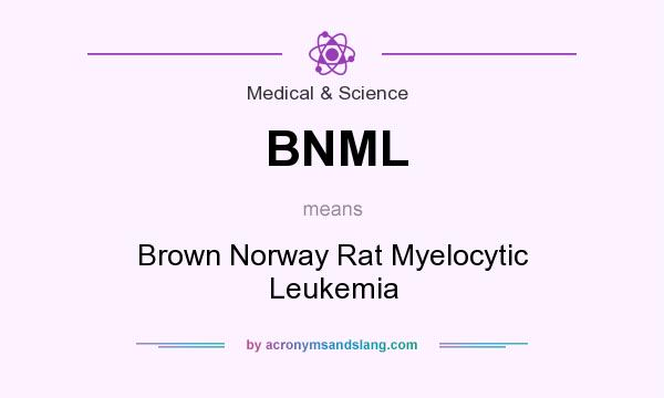 What does BNML mean? It stands for Brown Norway Rat Myelocytic Leukemia