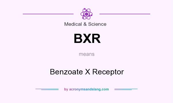 What does BXR mean? It stands for Benzoate X Receptor