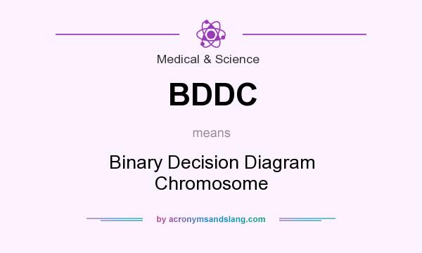 What does BDDC mean? It stands for Binary Decision Diagram Chromosome