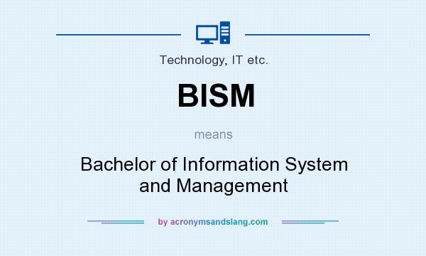 What does BISM mean? It stands for Bachelor of Information System and Management