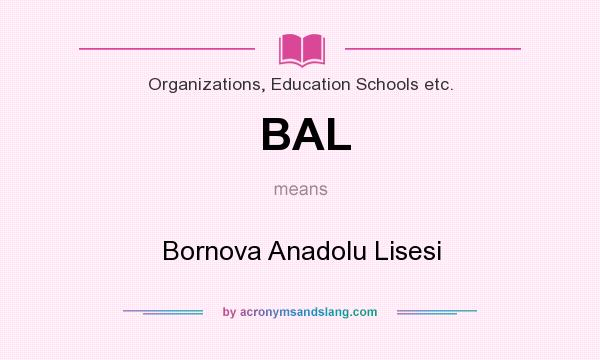 What does BAL mean? It stands for Bornova Anadolu Lisesi