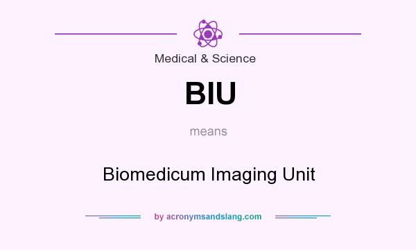 What does BIU mean? It stands for Biomedicum Imaging Unit