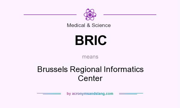 What does BRIC mean? It stands for Brussels Regional Informatics Center