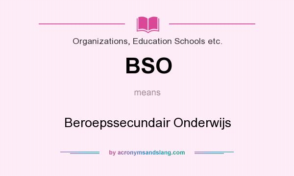 What does BSO mean? It stands for Beroepssecundair Onderwijs