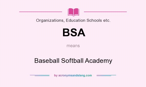 What does BSA mean? It stands for Baseball Softball Academy
