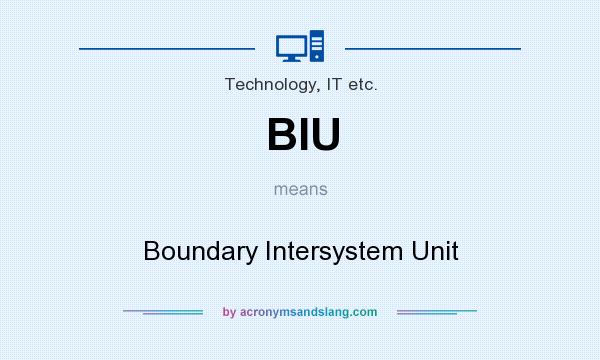 What does BIU mean? It stands for Boundary Intersystem Unit