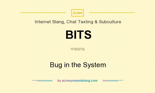 What does BITS mean? It stands for Bug in the System