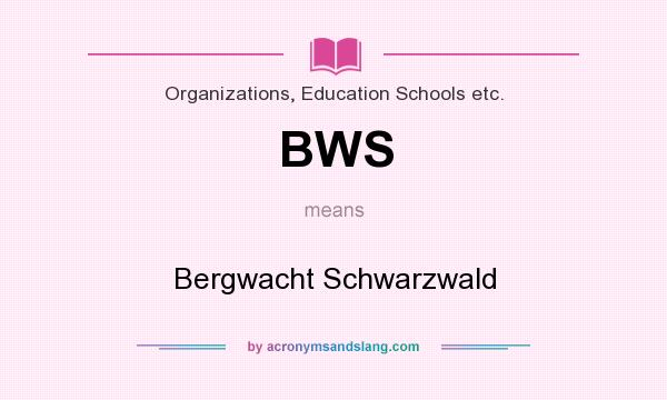 What does BWS mean? It stands for Bergwacht Schwarzwald