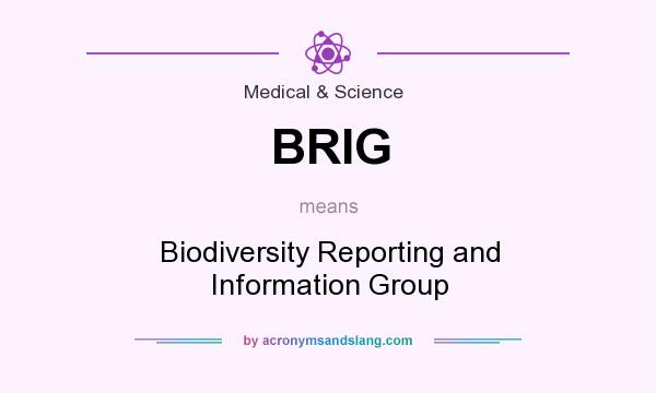 What does BRIG mean? It stands for Biodiversity Reporting and Information Group